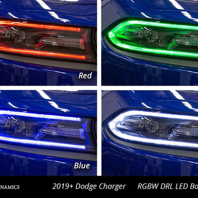 Diode Dynamics 2019-2022 Dodge Charger Multicolor LED Boards